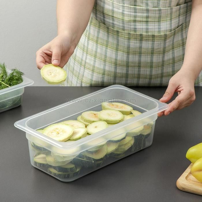 Polypropylene GN Pan